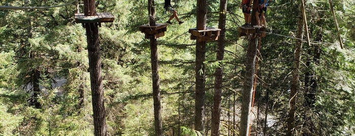 Tree to Tree Adventure Park is one of Lalo’s Liked Places.