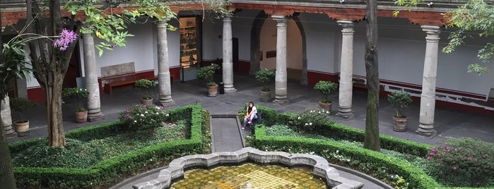 Museo Franz Mayer is one of México.