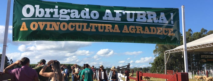 Expoagro Afubra is one of Pautas.