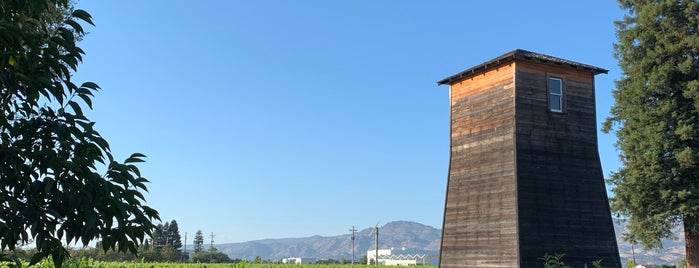 Lieux qui ont plu à Albert