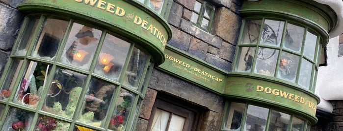 Dogweed and Deathcap is one of Shops of Hogsmeade.