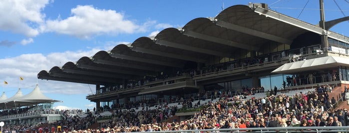 Goodwood Racecourse is one of Great Britain.