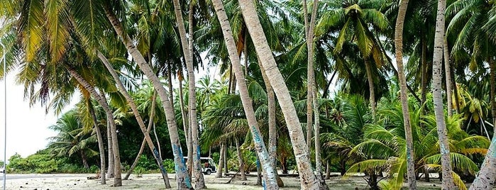 Dharavandhoo is one of Lutzkaさんのお気に入りスポット.