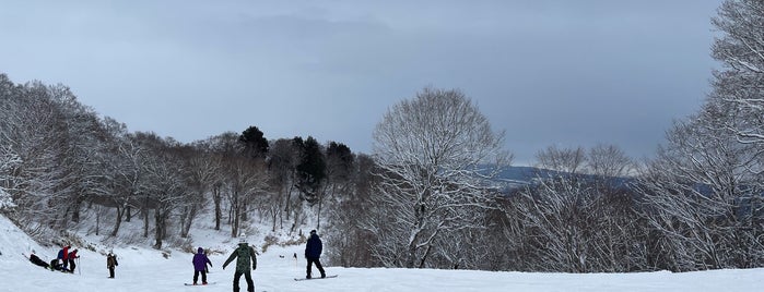 たんばらスキーパーク is one of 滑ったところ.