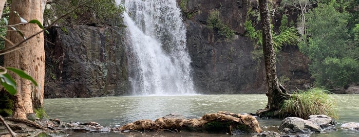 Cedar Creek Falls is one of Townsville.