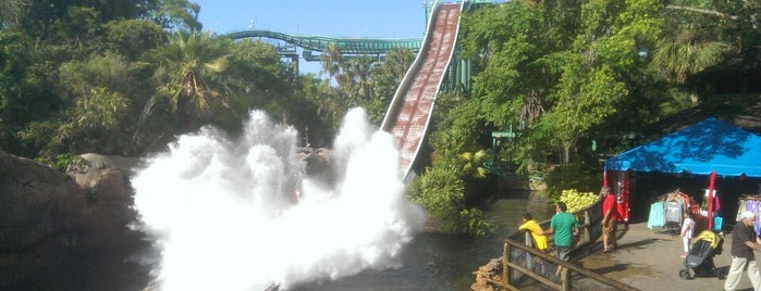Tidal Wave is one of Busch Gardens Tampa.