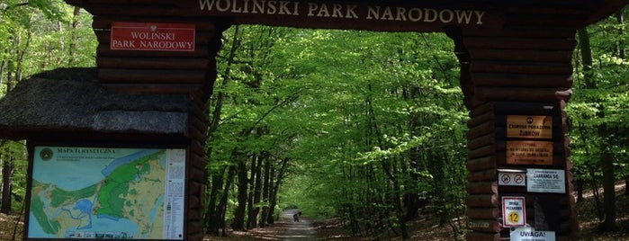 Woliński Park Narodowy (National Park) is one of Szczecin i Międzyzdroje.