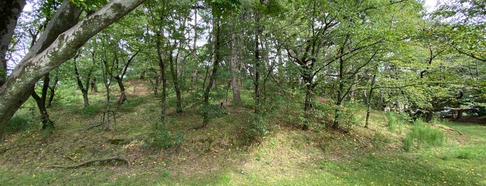 八幡山古墳 is one of 愛知県の史跡II 名古屋市北部(西区 昭和区 名東区以北).