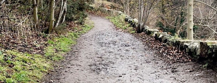 Hermitage of Braid and Blackford Hill is one of Edinburgh.