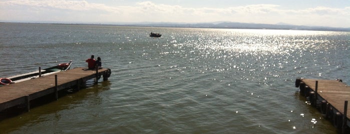 Parc Natural de l'Albufera is one of Comunidad Valenciana.