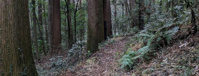 三保市民の森 is one of 横浜周辺のハイキングコース.