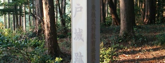 安戸城跡 is one of 城 (武蔵).