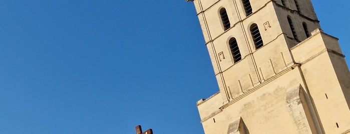 Cathédrale Notre-Dame des Doms is one of Avignon.