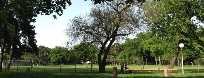 Auer-Welsbach-Park is one of Wien.