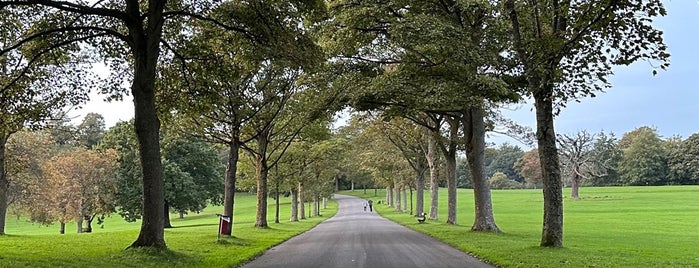 Roundhay Park Lake is one of Tempat yang Disukai Bhavani.