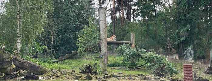 Riga Zoo is one of Places in paradise.