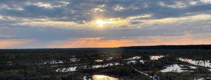 Ķemeru lielais tīrelis is one of สถานที่ที่ Maria ถูกใจ.