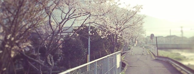 あさぎり公園 is one of 公園.