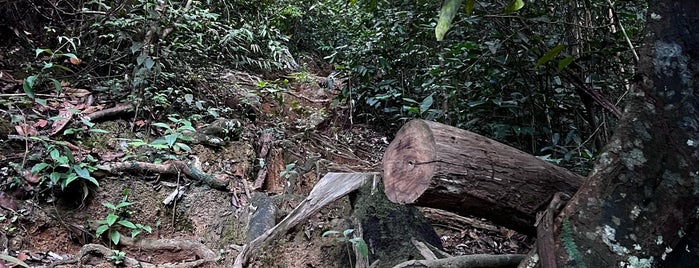 Gunung Lambak is one of great outdoor activities.