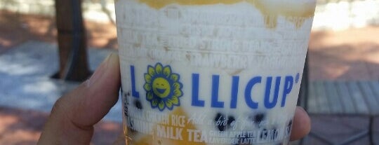 Lollicup is one of LV.