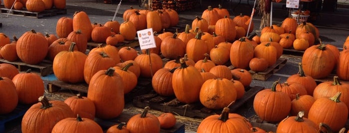 Brookhaven Christian Pumpkin Patch is one of Locais curtidos por Chester.