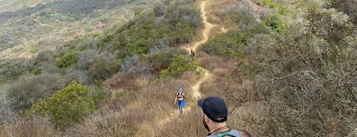 Temescal Ridge Trail is one of David : понравившиеся места.