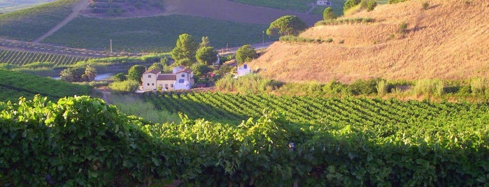 Organic wine Farm Tarantola is one of Италия.