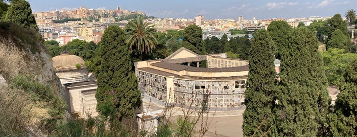 Cimitero Monumentale di Bonaria is one of Cagliari.