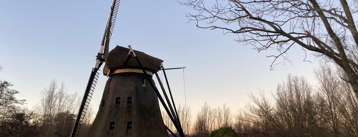 Molen De Zwarte Ruiter is one of I love Windmills.