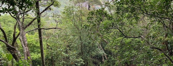 Trilha da Pedra da Gávea is one of The 15 Best Hiking Trails in Rio De Janeiro.