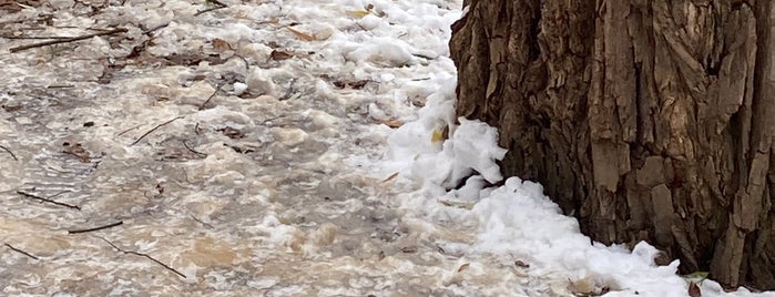 Taylor Creek Park is one of places to walk.