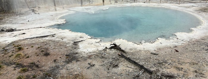 Yellowstone National Park is one of Roadtrip.
