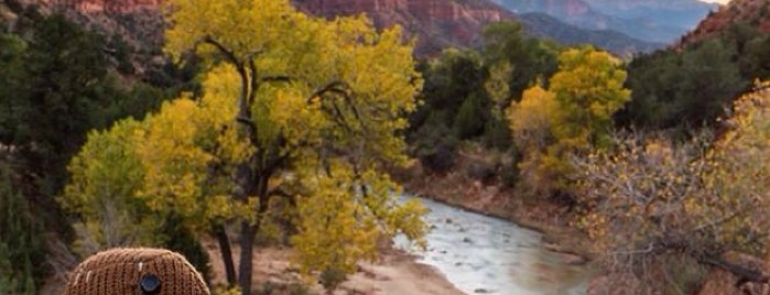 Parc national de Zion is one of Lieux qui ont plu à Tass.