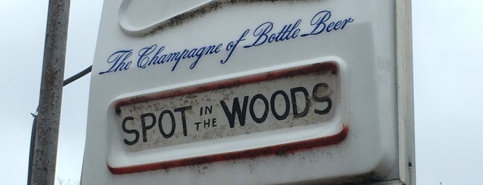 Spot In The Woods is one of Dellwood.