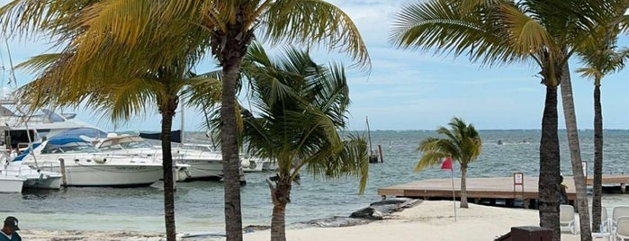 Temptation Resort & Spa Cancun is one of 10 excelentes lugara para conocer!.