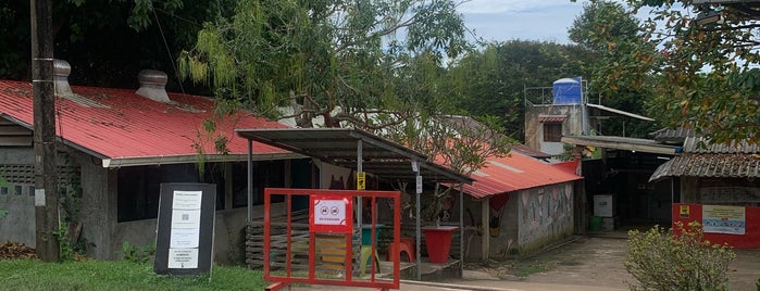 Lanta Animal Welfare is one of Koh Lanta 2019.