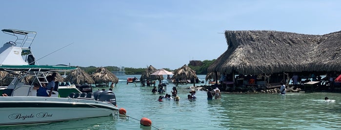 Cholón is one of Cartagena de Indias.