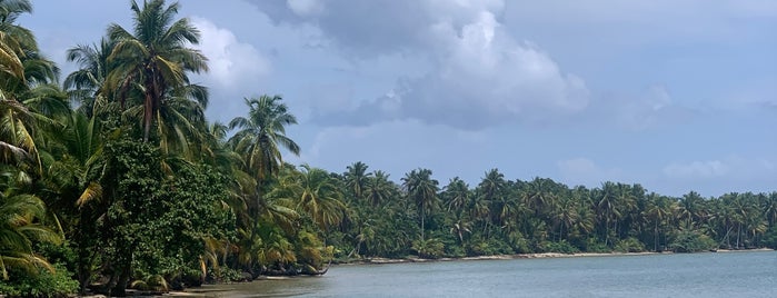 Playa Boca Drago is one of Bocas del Toro, Panamá.