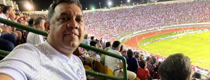 Estádio Roberto Santos (Pituaçu) is one of Checkin.