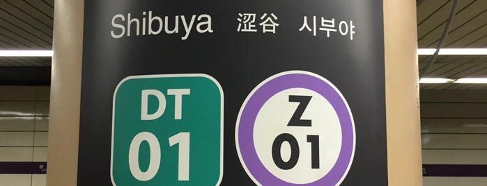 Hanzomon Line Shibuya Station (Z01) is one of 関東の訪問（通過）スポット.