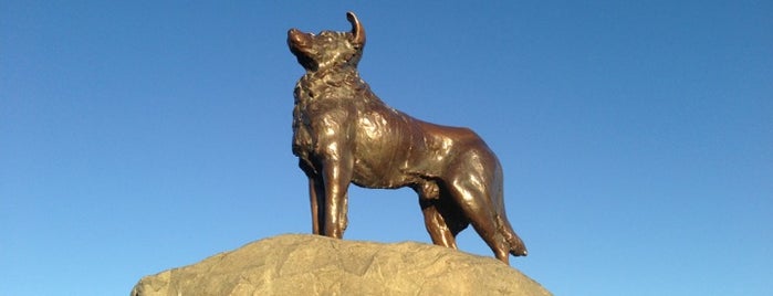 The Sheepdog Memorial is one of New Zealand.