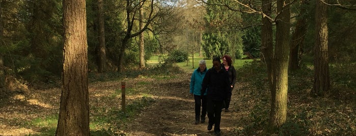 Wyre Forest Visitors Centre is one of Parkrun locations.