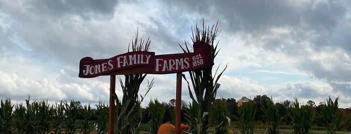 Jones Family Farms' Pumpkinseed Hill is one of Favorite places.