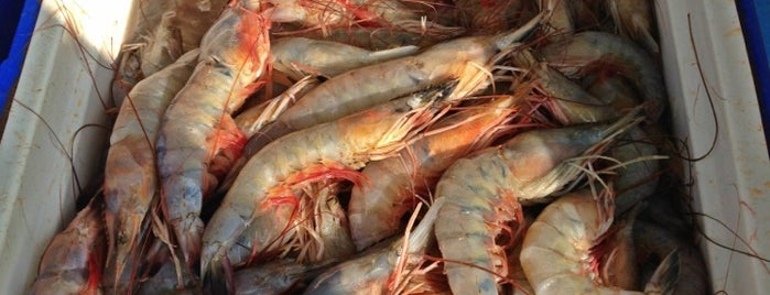 Westwego Seafood Market is one of Lieux qui ont plu à Mary.