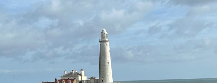 St Mary's Lighthouse is one of Northumberland nature reserves.