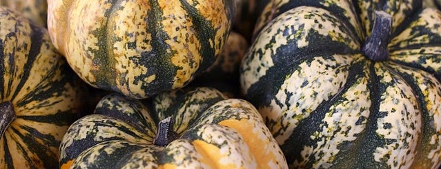 Best Pumpkin Patches in Los Angeles