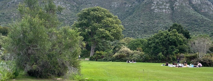 Kirstenbosch Botanical Gardens is one of CT must see.