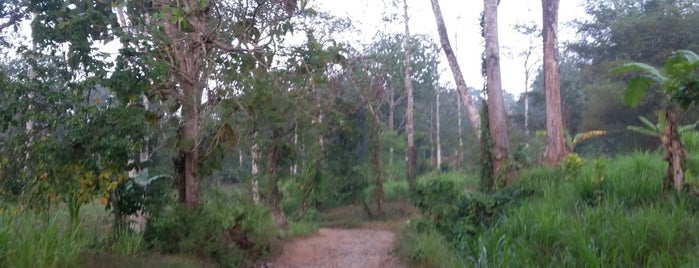 Taman Nasional Meru Betiri (TNMB) is one of FPA Outing.
