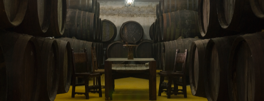 Bodega Vinos de Anora is one of Experiencias en la Ruta del Vino.