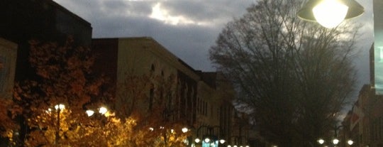 Charlottesville Historic Downtown Mall is one of VA is for Wahoos.